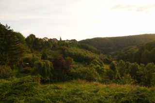 DSC02948.JPG