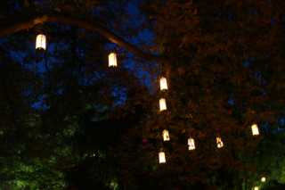 DSC03638.JPG