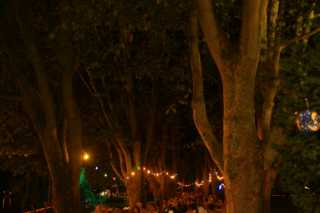 DSC03763.JPG