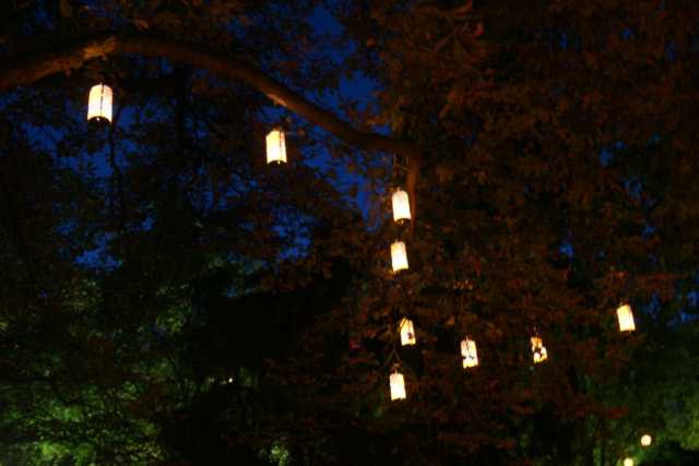 DSC03638.JPG
