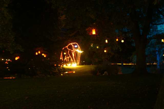 DSC03684.JPG