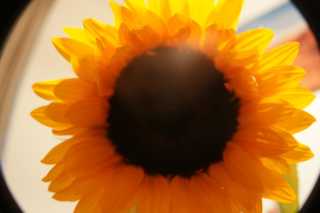 DSC06575.JPG