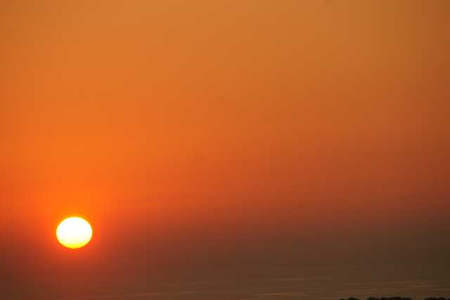 DSC08218.JPG