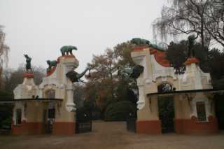 DSC09237.JPG