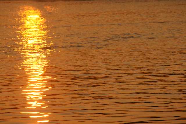 DSC08926.JPG