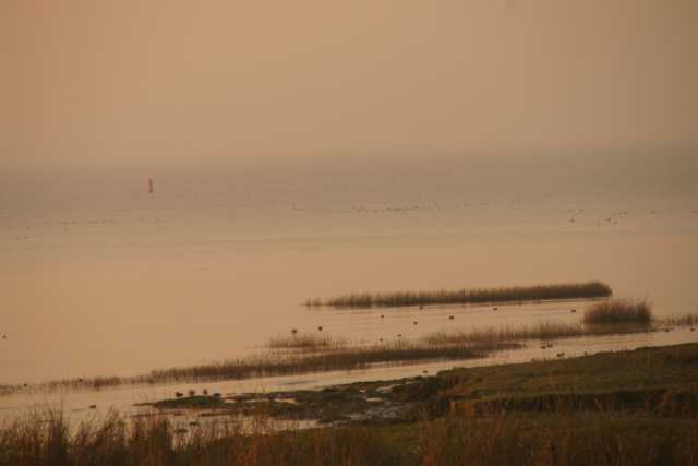 DSC08955.JPG