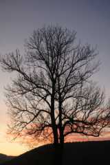 DSC08849.JPG