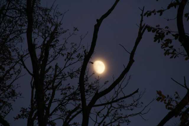 DSC08860.JPG
