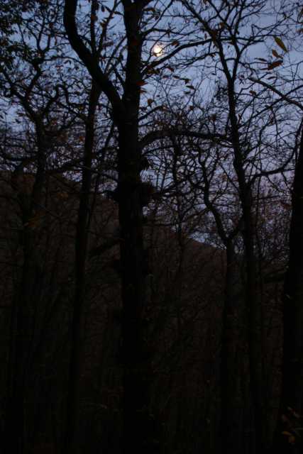 DSC08885.JPG