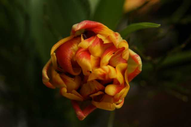 image302.JPG