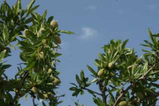 DSC00605.JPG