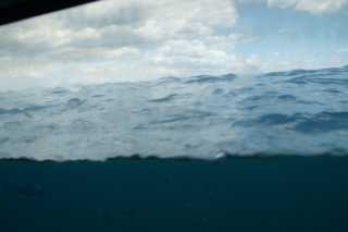DSC00774.JPG