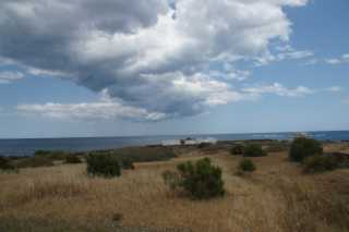 DSC00876.JPG