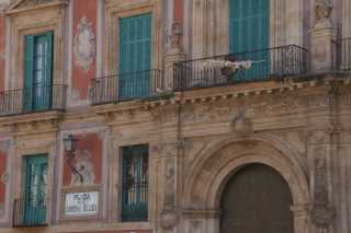 DSC00985.JPG