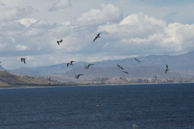 DSC00897.JPG