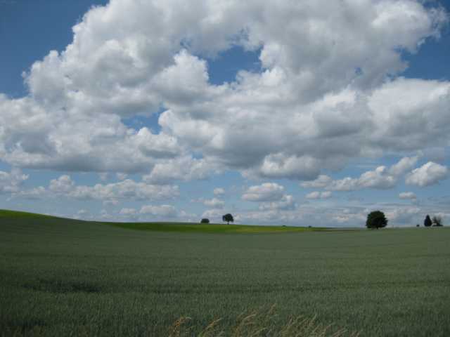 IMG_4688.JPG