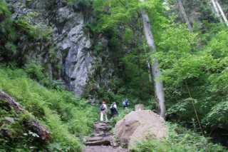 DSC02027.JPG