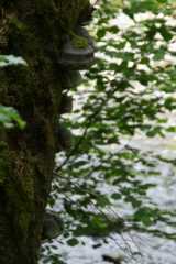 DSC02058.JPG