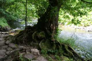 DSC02060.JPG