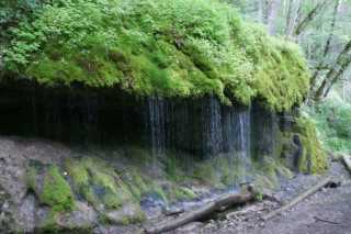 DSC02070.JPG