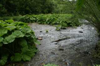 DSC02096.JPG
