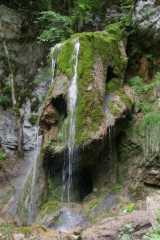 DSC02114.JPG