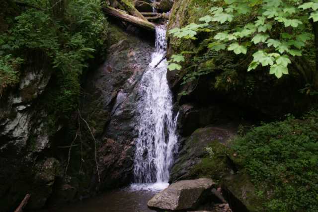 DSC02024.JPG