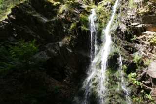 DSC02741.JPG