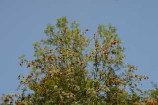 DSC02777.JPG