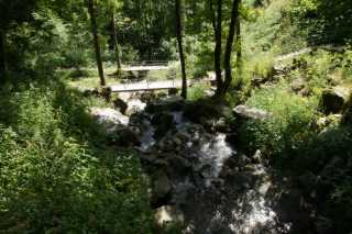 DSC02804.JPG