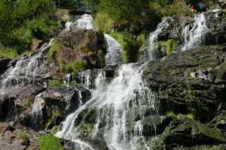 DSC02810.JPG