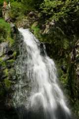 DSC02839.JPG