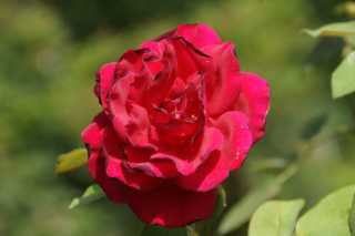 DSC02965.JPG