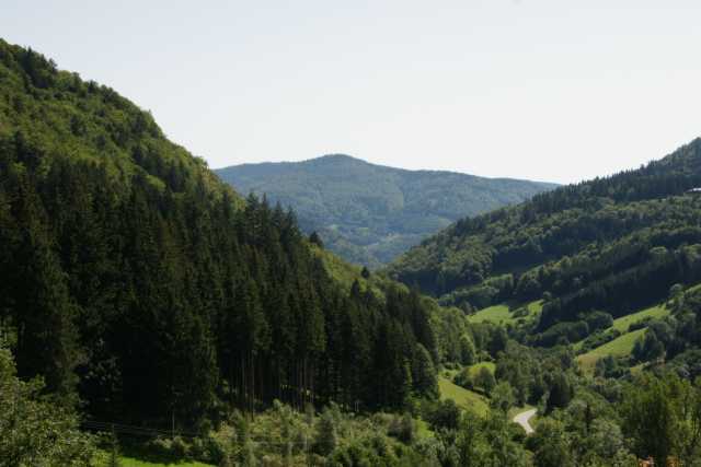 DSC02813.JPG