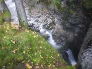 IMGP0721.JPG