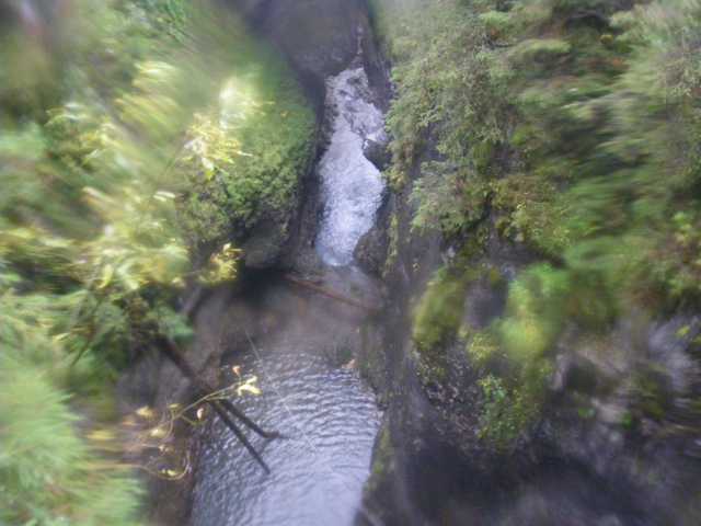 IMGP0717.JPG