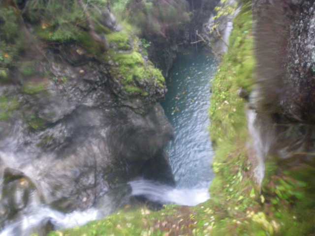 IMGP0723.JPG