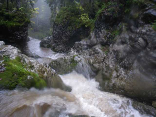 IMGP0775.JPG