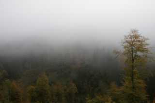 DSC03416.JPG