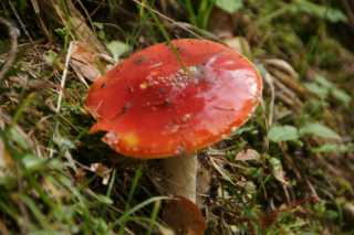 DSC03482.JPG