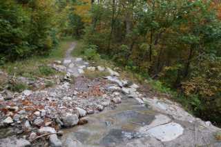 DSC03505.JPG