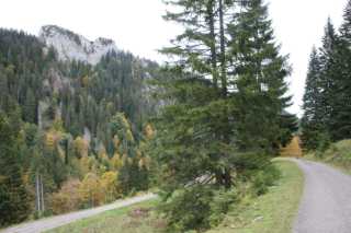 DSC03513.JPG