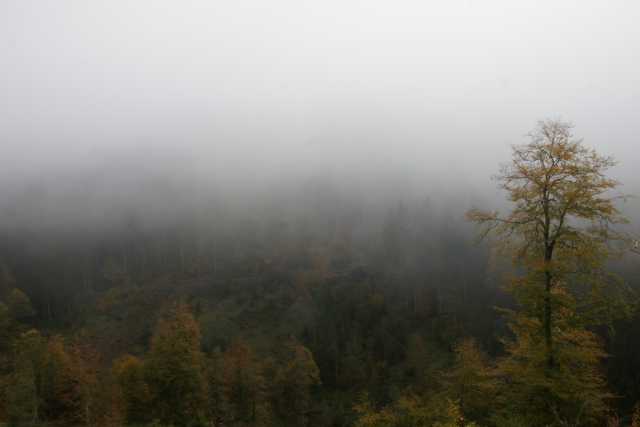 DSC03416.JPG