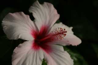 DSC03584.JPG