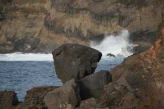 DSC03599.JPG