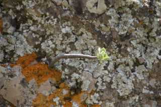 DSC03839.JPG