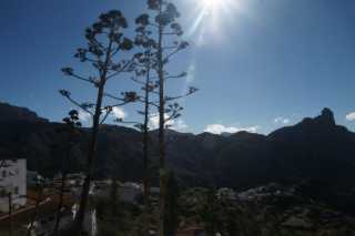 DSC03887.JPG