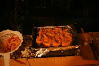 DSC03948.JPG