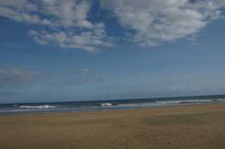 DSC04050.JPG