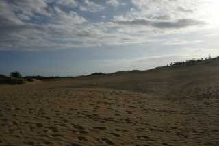 DSC04051.JPG